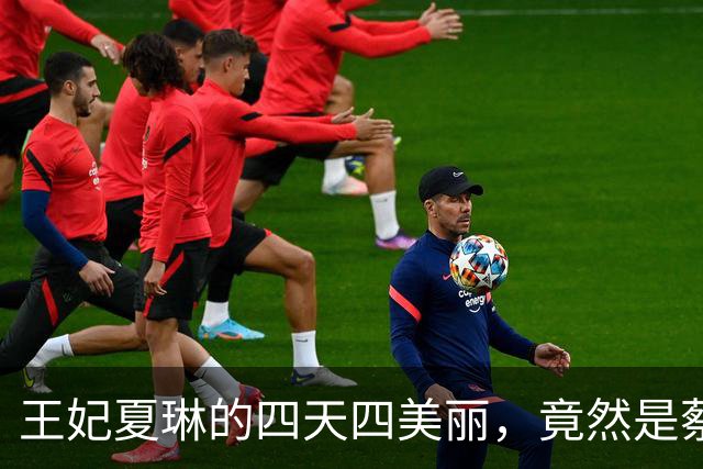 王妃夏琳的四天四美丽，竟然是蔡伦的气质变身器？